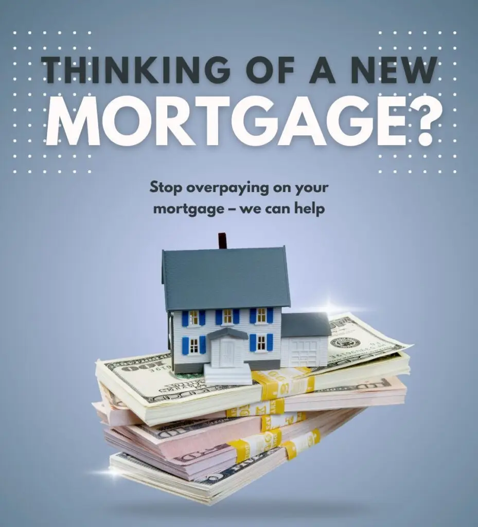 whatsapp image 2026 03 07 at 2.33.25 pm